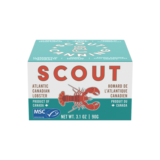 Scout Lobster